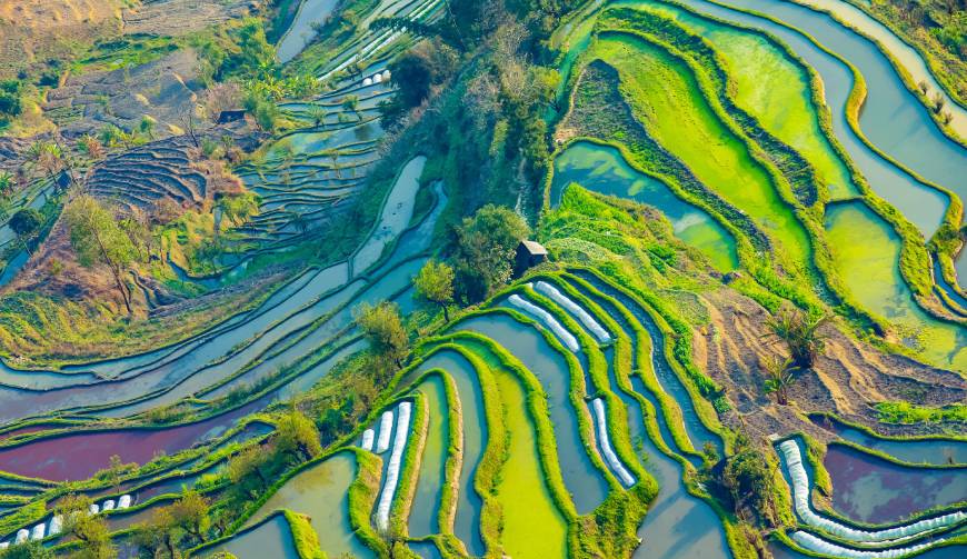 宝妈必备神器：绥中县产品视频拍摄轻松育儿好帮手