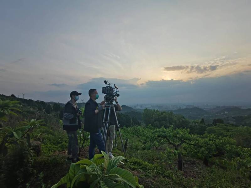 创意破圈！绥中县电商产品宣传视频用故事化叙事引爆流量