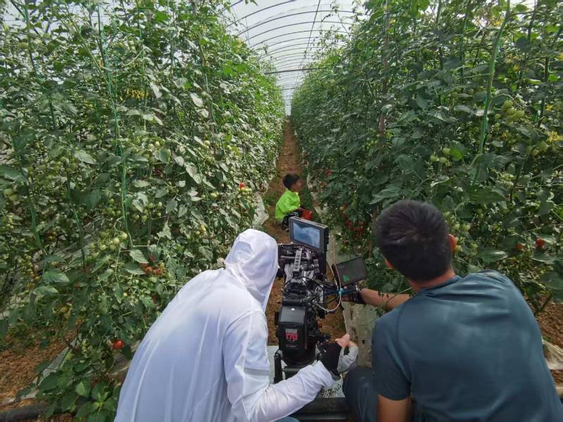 绥中县产品宣传视频拍摄公司进阶指南，助力品牌抢占传播高地